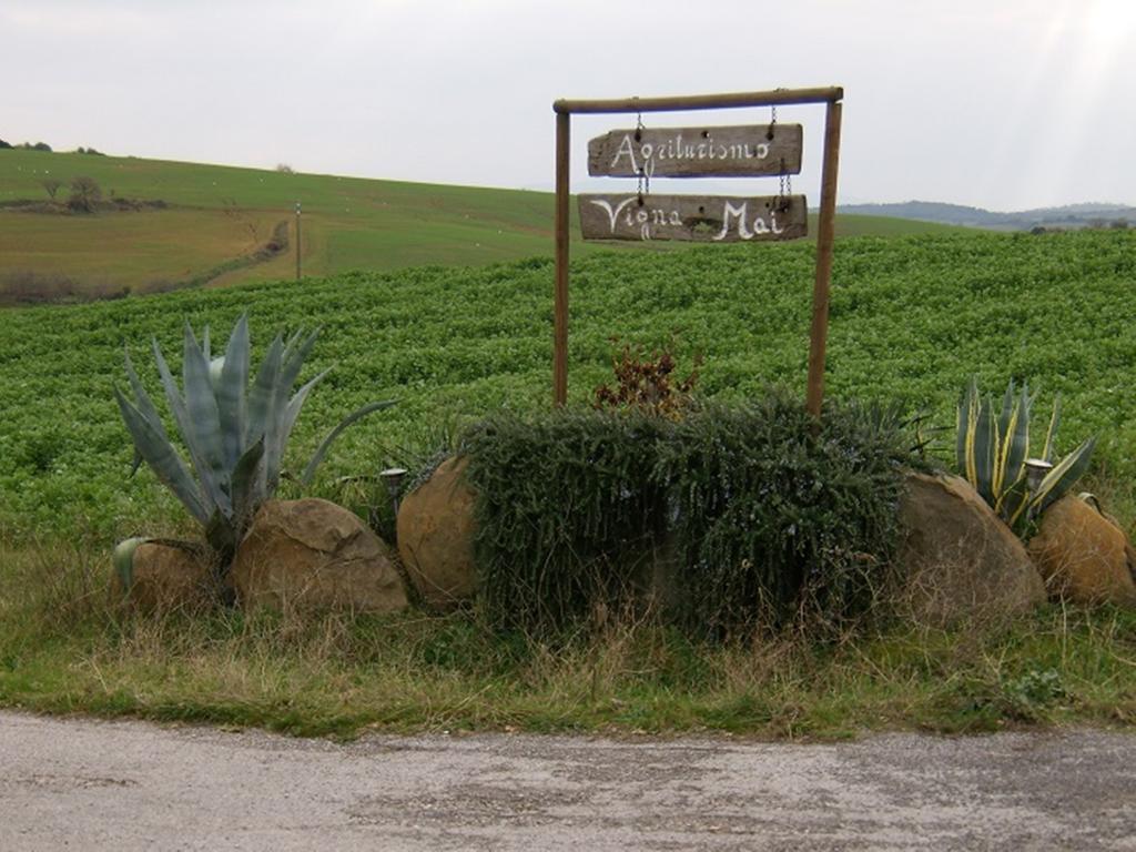 Agriturismo Vigna Mai Magliano in Toscana Exterior foto